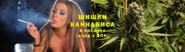хмурый Покачи