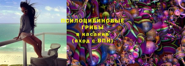 хмурый Покачи
