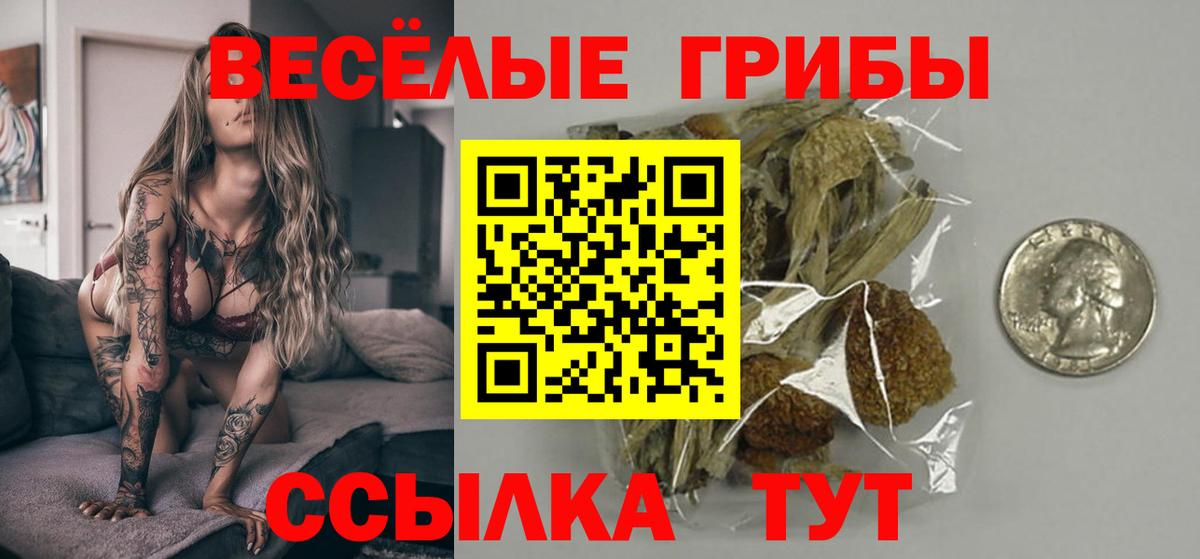 Псилоцибиновые грибы Magic Shrooms  Вход с VPN  Кушва  Псилоцибиновые грибы Psilocybine cubensis 