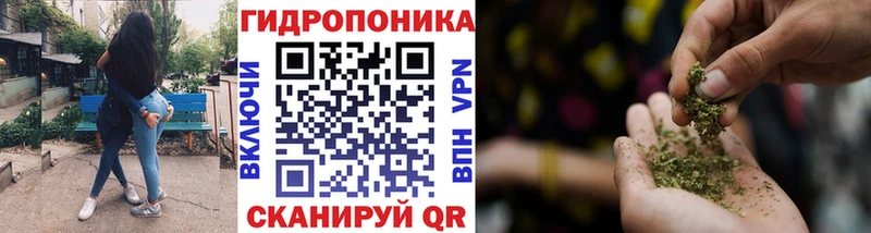 Бошки Шишки марихуана Кушва
